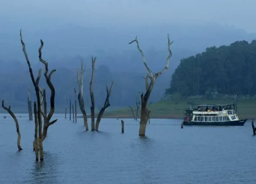 Exotic Kerala Safari (with HB overnight stay)