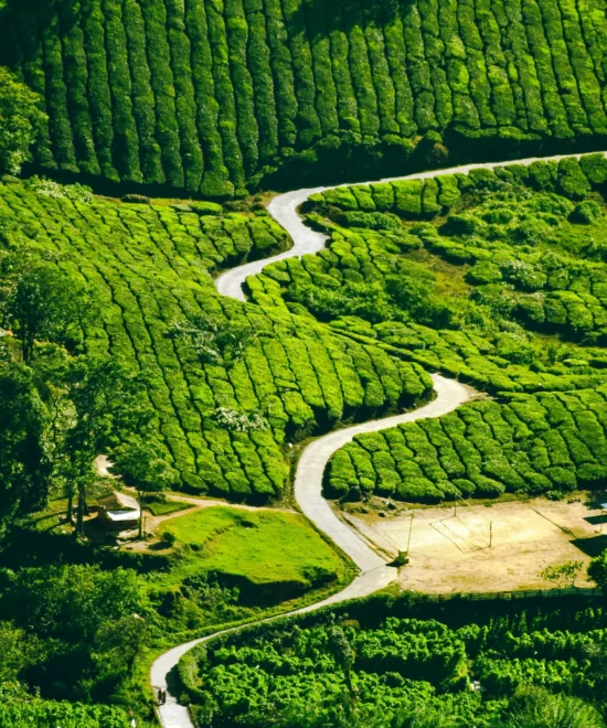 Munnar