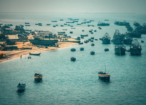 Kerala Family Holidays (with HB overnight stay)